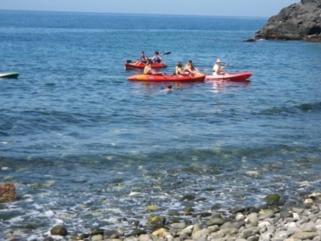 Nadando entre los kayak